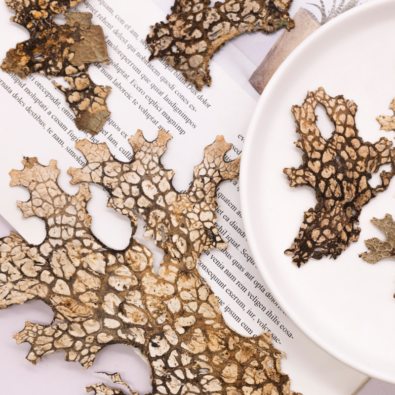 4pcs,Rare Bark Natural Pressed - Art Craft Flower Making avaliação e preço
