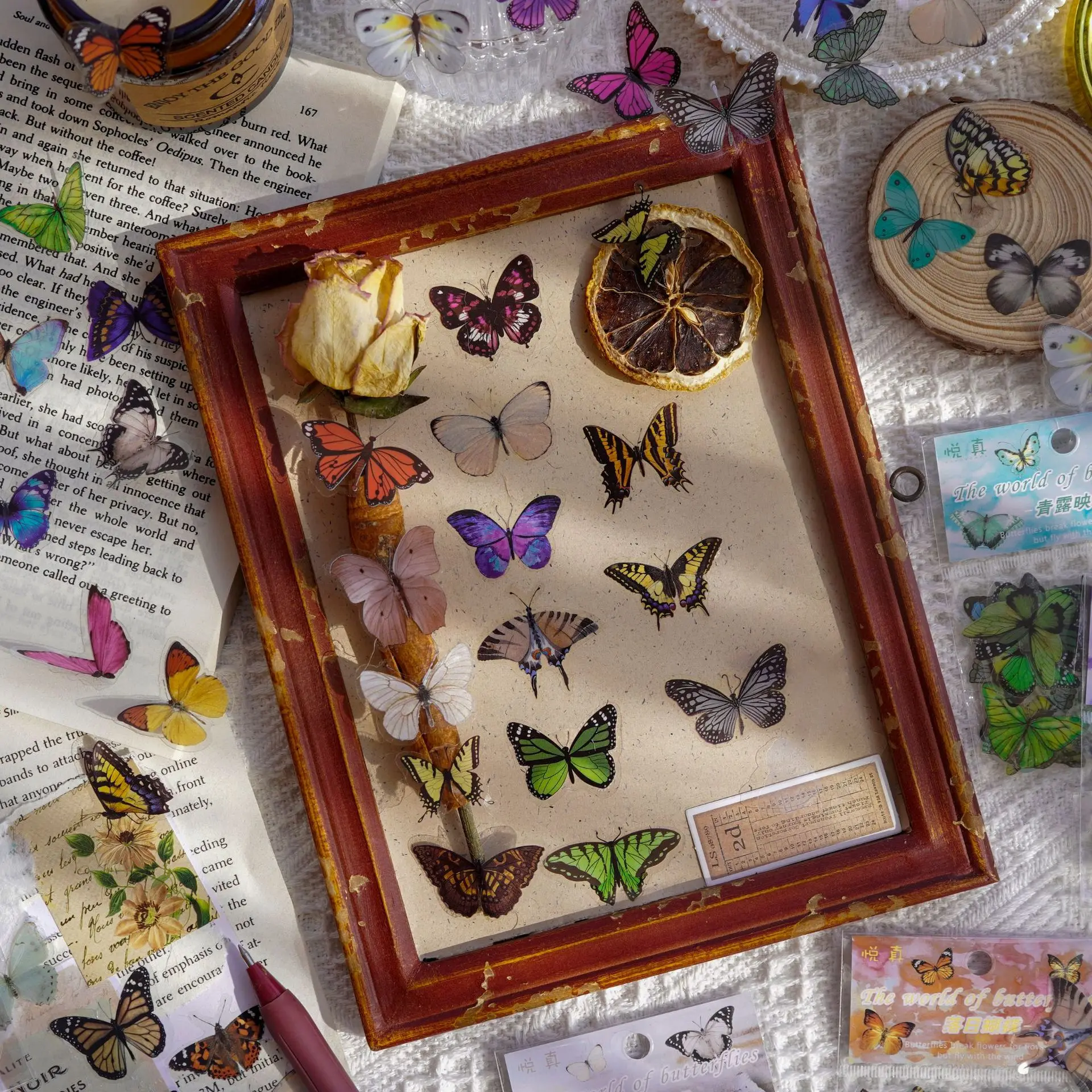 Journamm 40pcs/pack Butterfly  - Art Craft 3 Year Old avaliação e preço